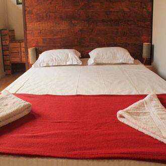 Boaty's Beach Cottage, Goa 2